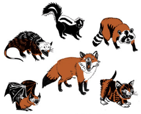 Berkas:Rabies animal.png