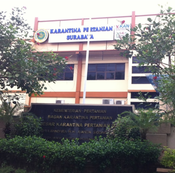 Berkas:Balai.png
