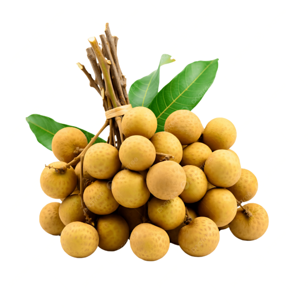 Berkas:Lengkeng.png