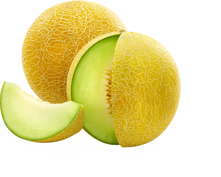 Berkas:Melon.png