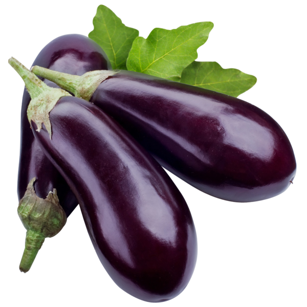 Berkas:Terung.png