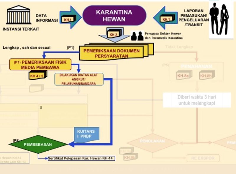Berkas:Sop.jpg