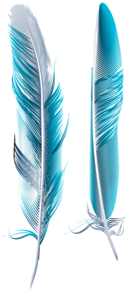 Berkas:Kisspng-bird-feather-blue-asiatic-peafowl-blue-feather-5a9d65afc5d278.8236944115202646238103.png
