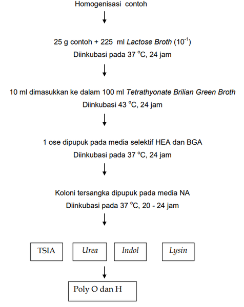 Berkas:Sarang 22.png