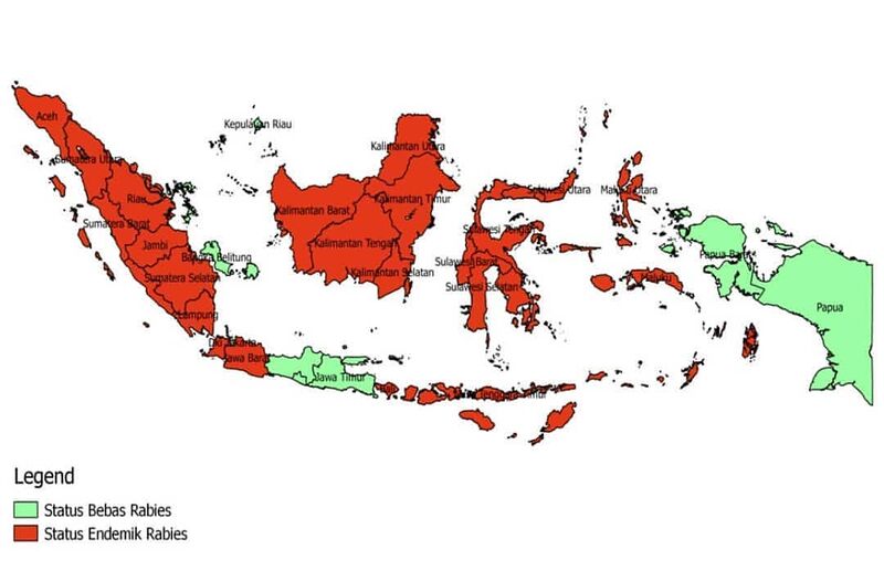 Berkas:Rabies.jpg