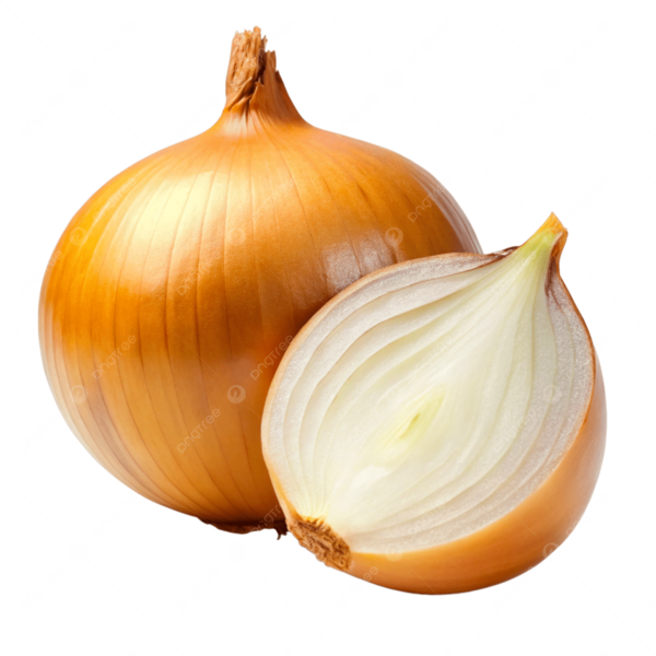 Berkas:Bawang bombay.png