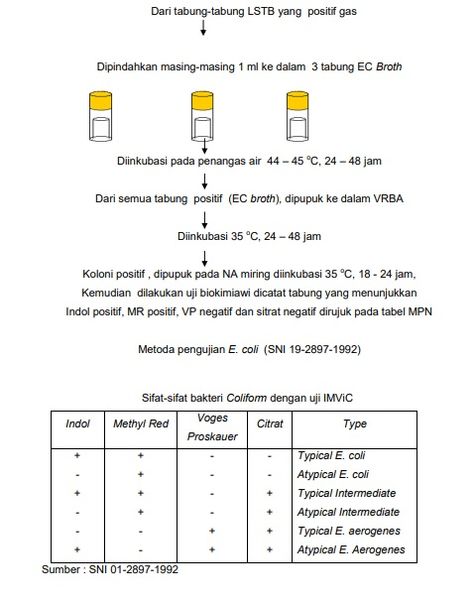 Berkas:Hasil 4.jpg