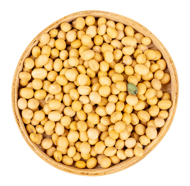 Berkas:Kedelai.png