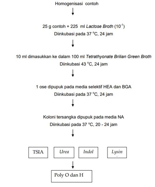 Berkas:Uji 1.jpg