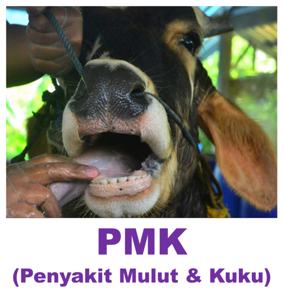 Berkas:Pmk2.png