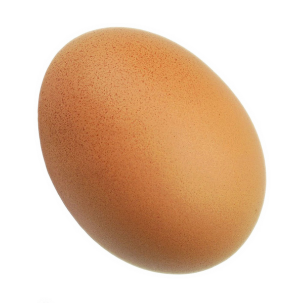 Berkas:Telur.png