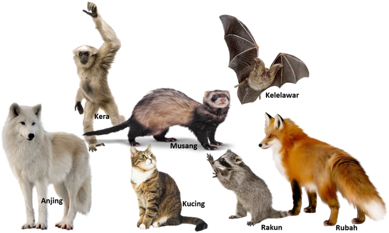 Berkas:HPR.png