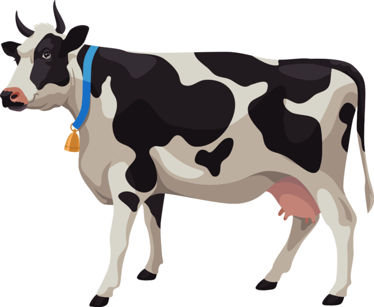 Berkas:Sapi perah.png
