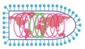 Miniatur versi sejak 25 Oktober 2019 03.19