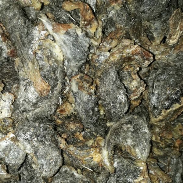 Berkas:Sarang walet hitam.jpg