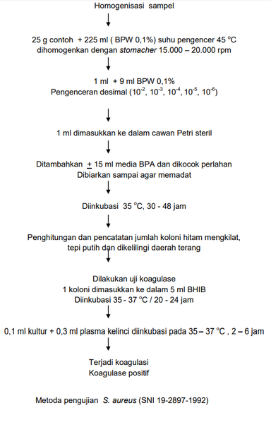 Berkas:Sarang 23.png