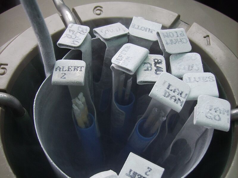 Berkas:Semen straw.jpg