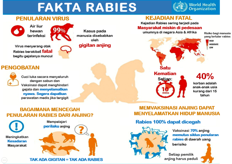 Berkas:FAKTA RABIES.png