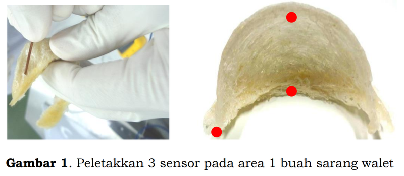 Berkas:Sarang 41.png