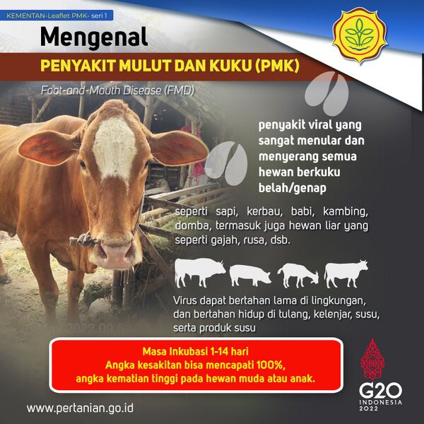 Berkas:Pmk1.jpg