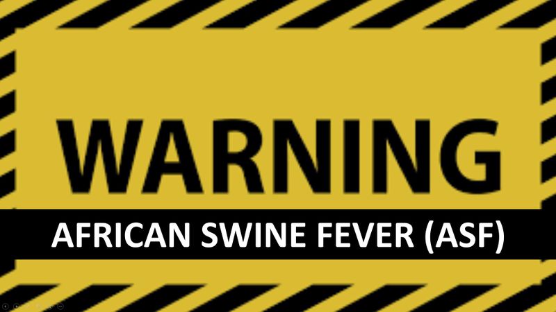 Berkas:WARNING ASF.jpg